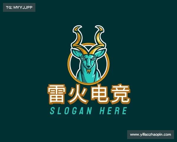 关于雷火电竞